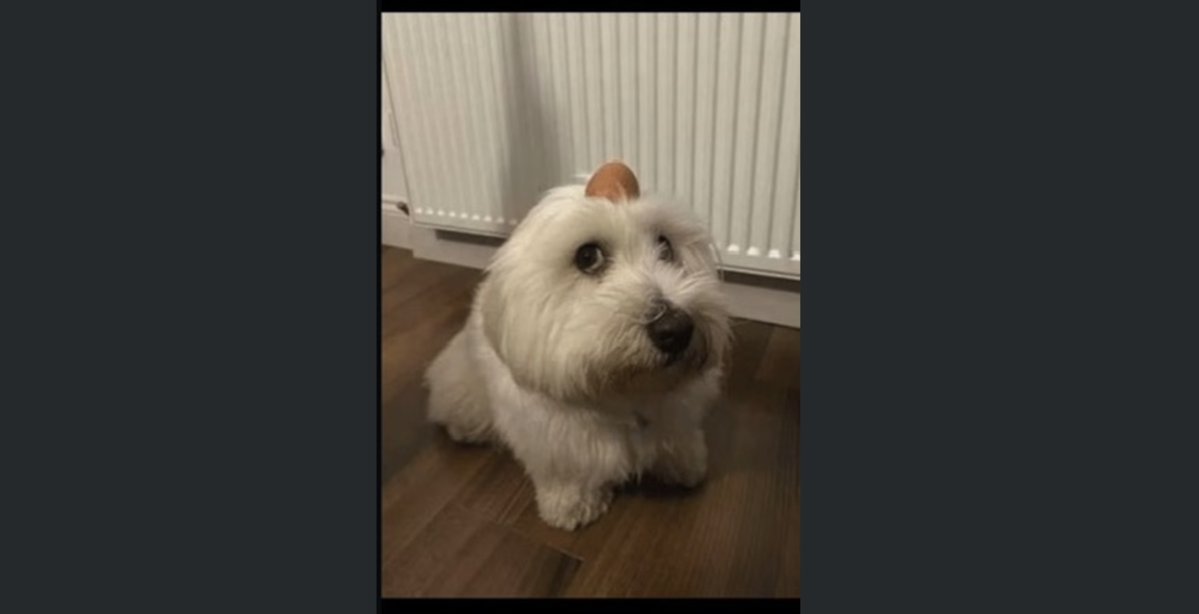 Julien Rigot social post