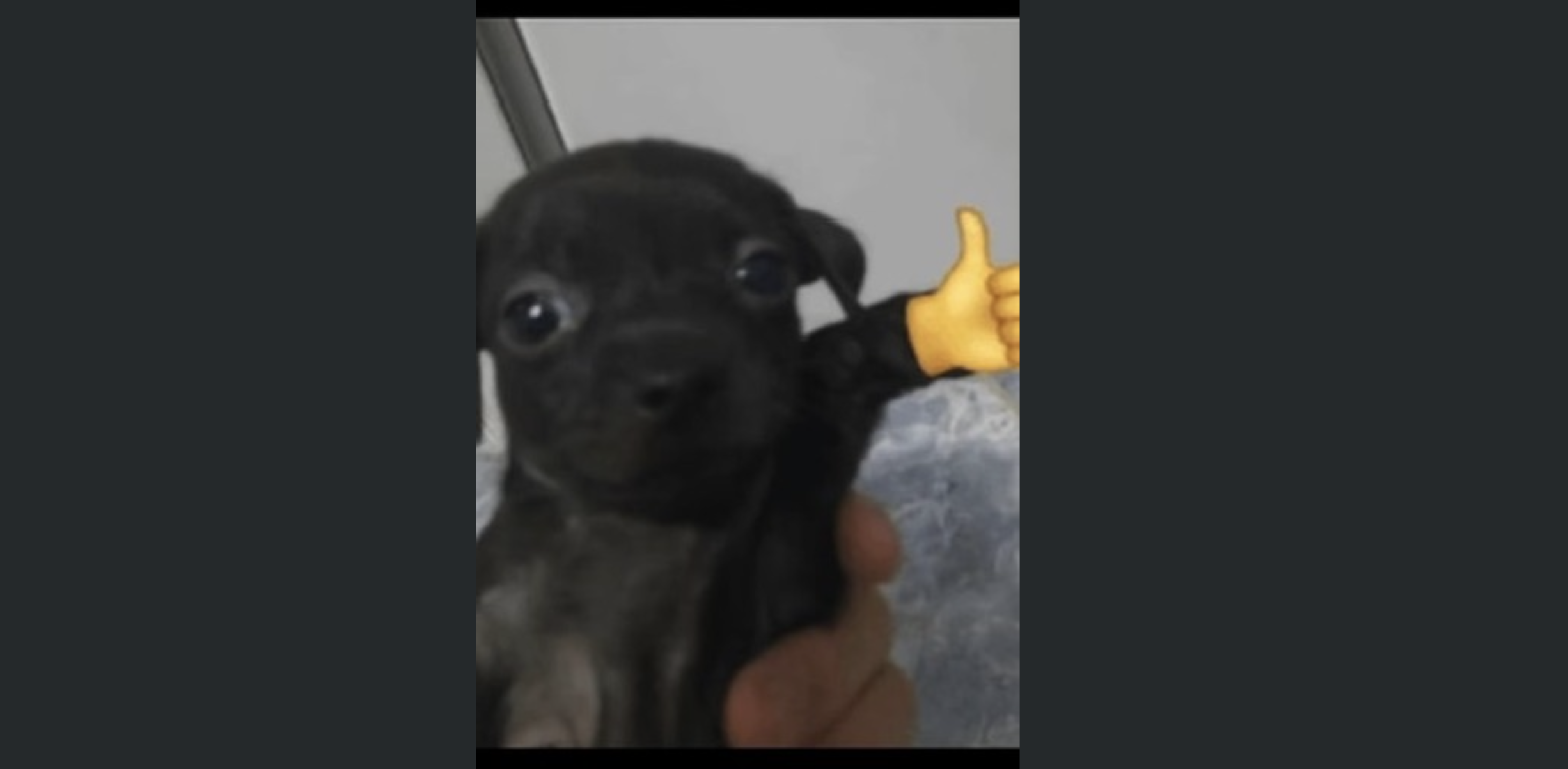 Julien Rigot social post