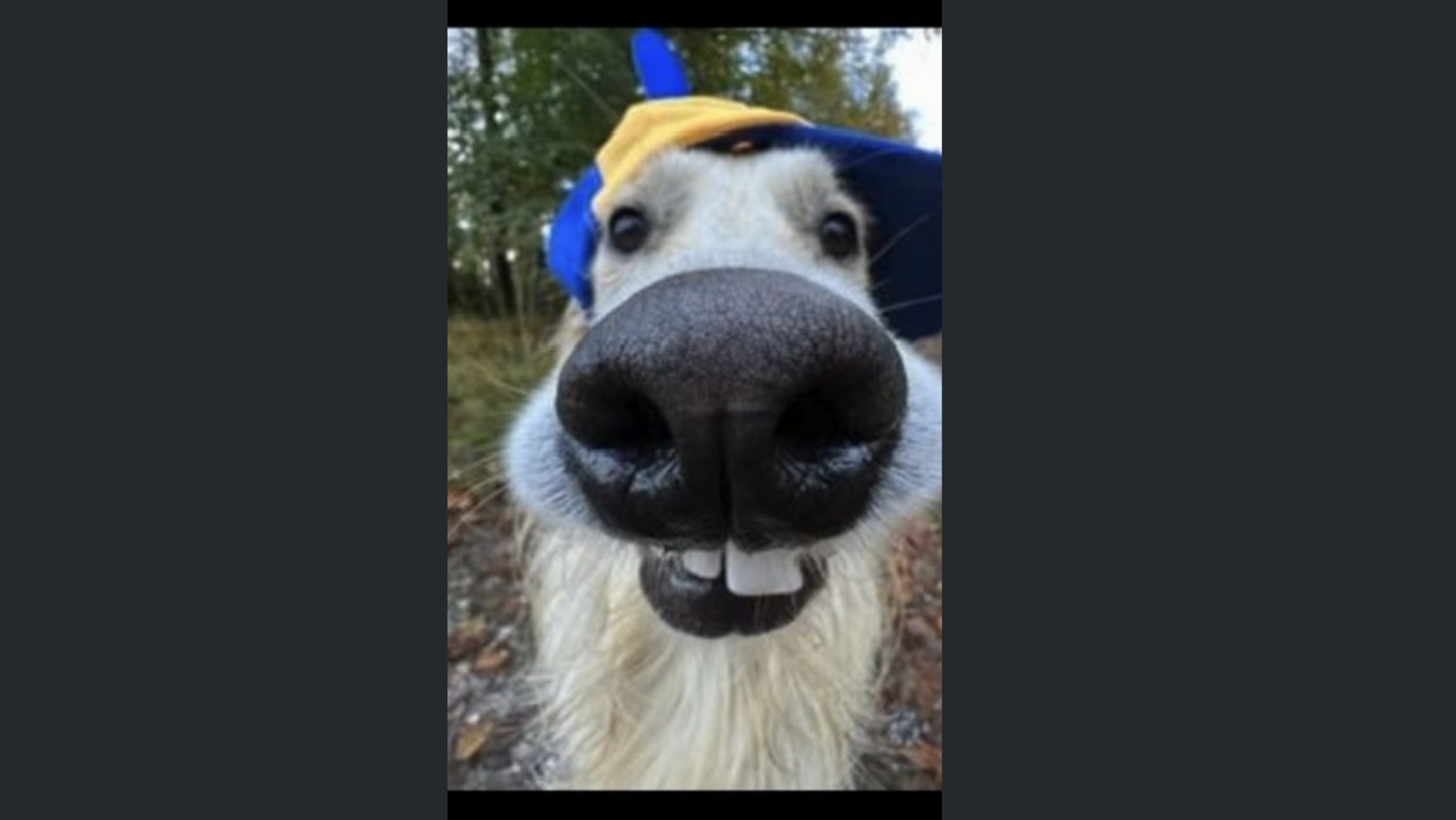 Julien Rigot social post