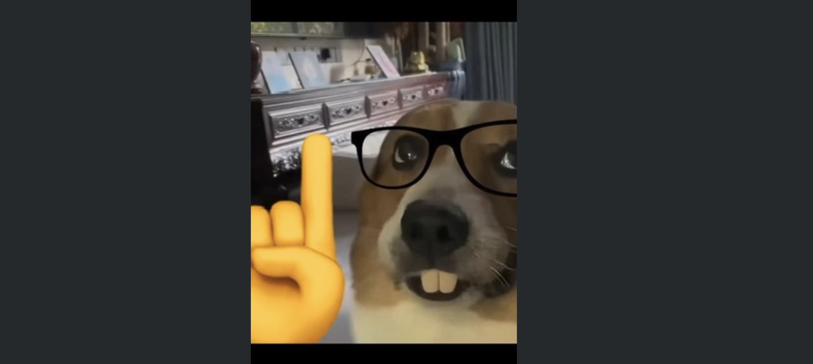 Julien Rigot social post