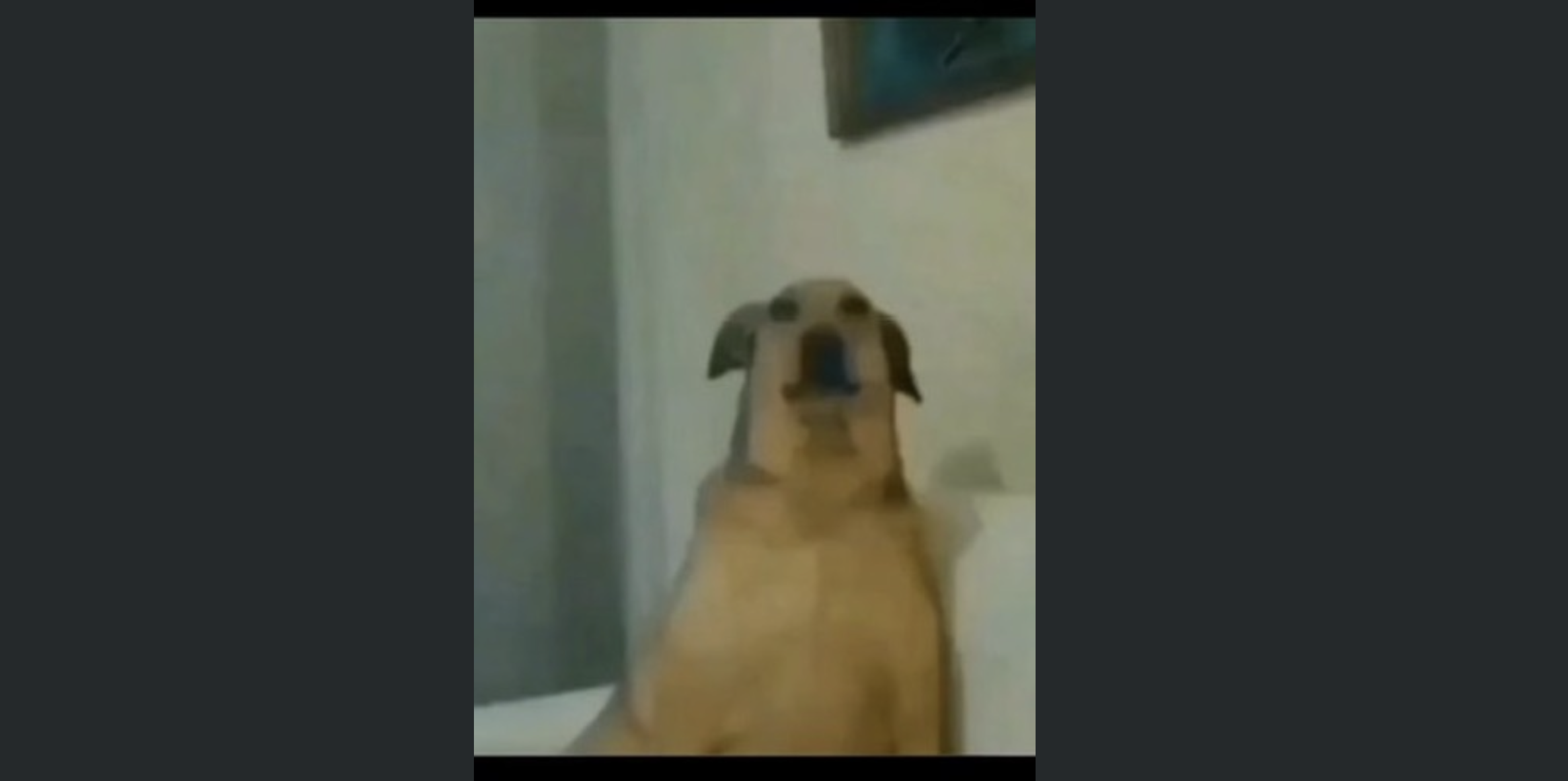 Julien Rigot social post