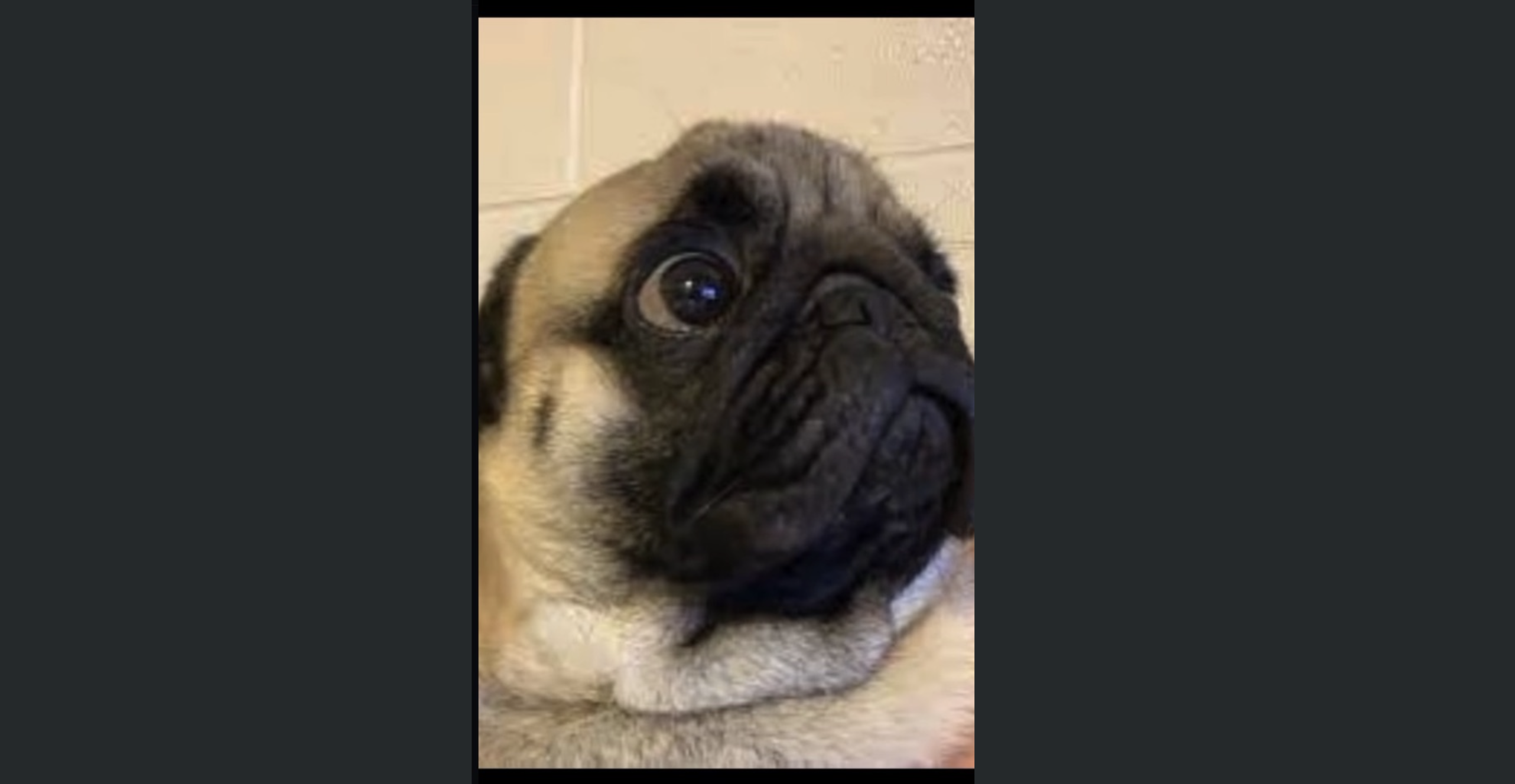 Julien Rigot social post