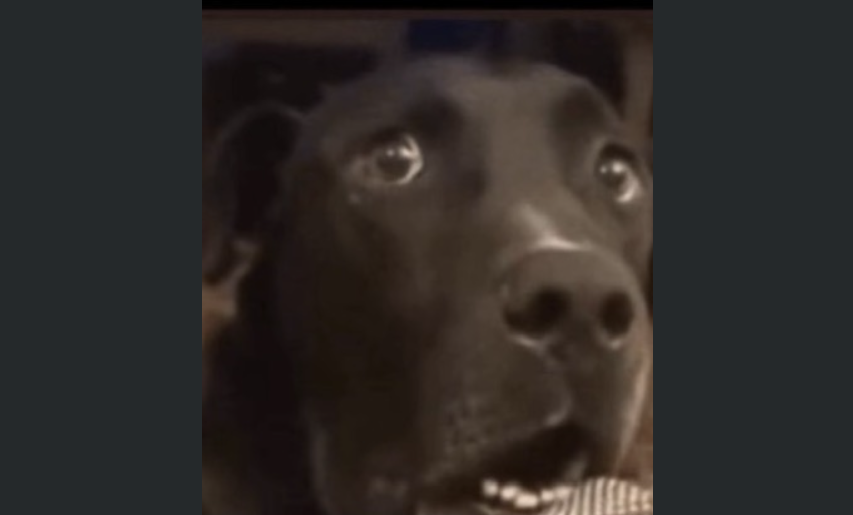 Julien Rigot social post