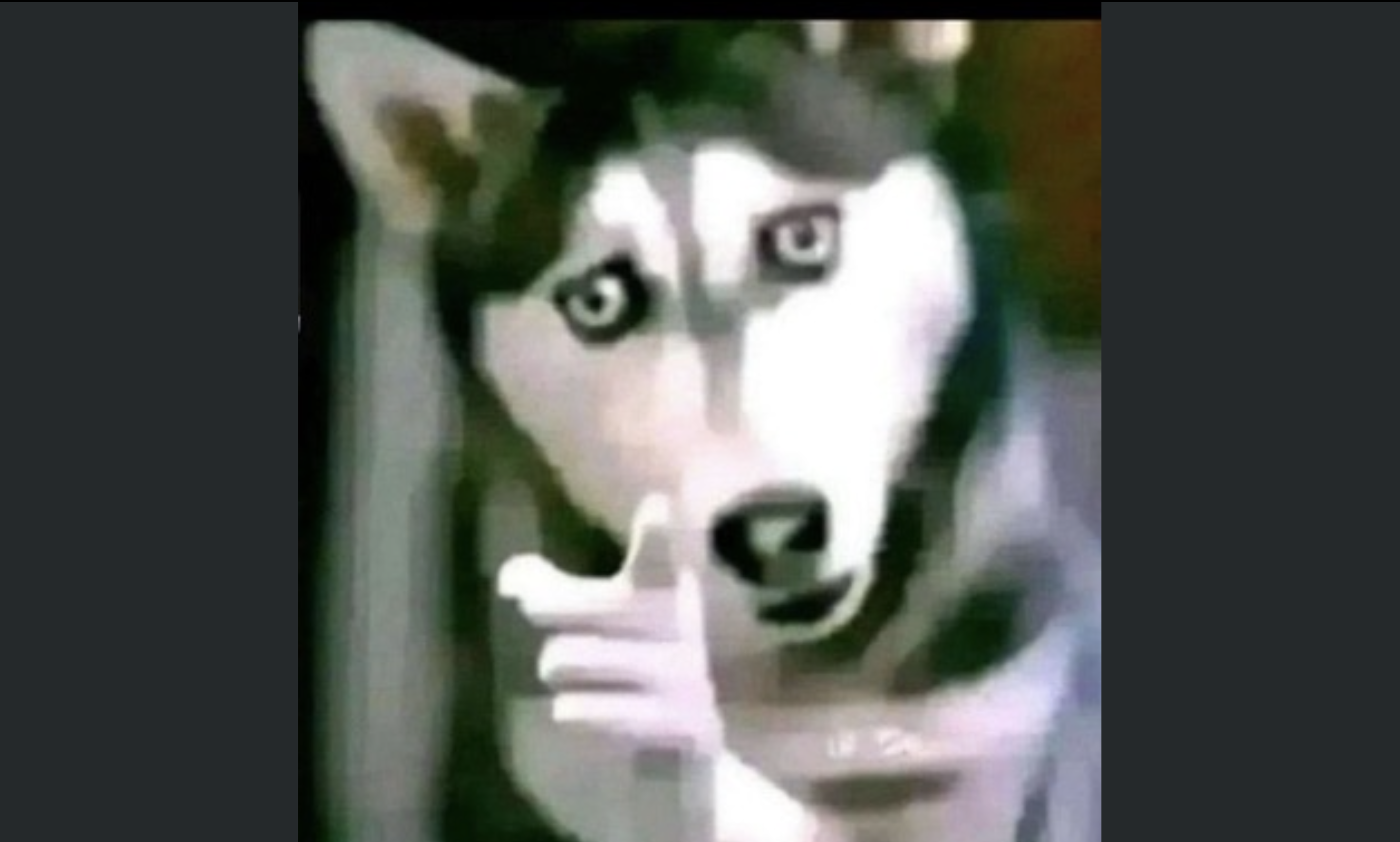 Julien Rigot social post