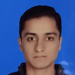 Syed Munawar ul Hasaan