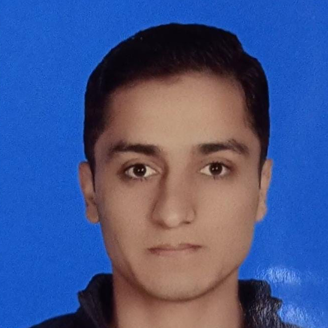 Syed Munawar ul Hasaan